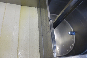Queso de Tronchon