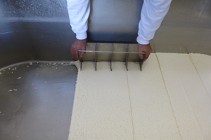 Queso de Tronchon