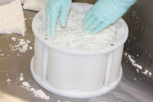 Queso de Tronchon