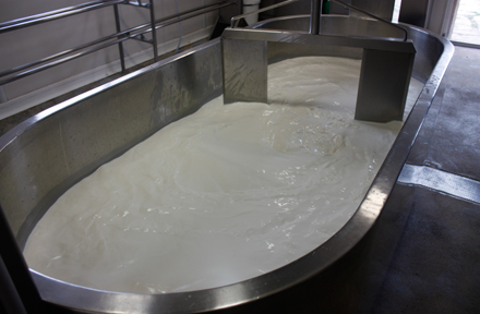 Queso de Tronchon