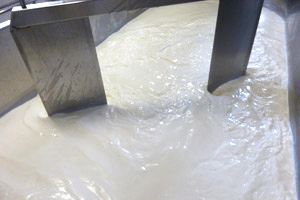 Queso de Tronchon