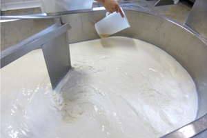 Queso de Tronchon