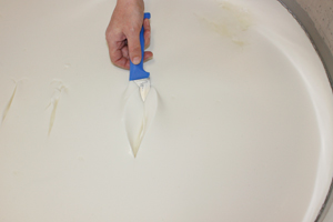 Queso de Tronchon