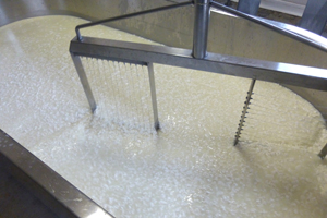 Queso de Tronchon