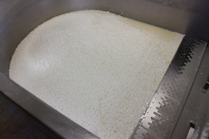 Queso de Tronchon